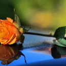 FFC Ketsch Klaus Seitz 01